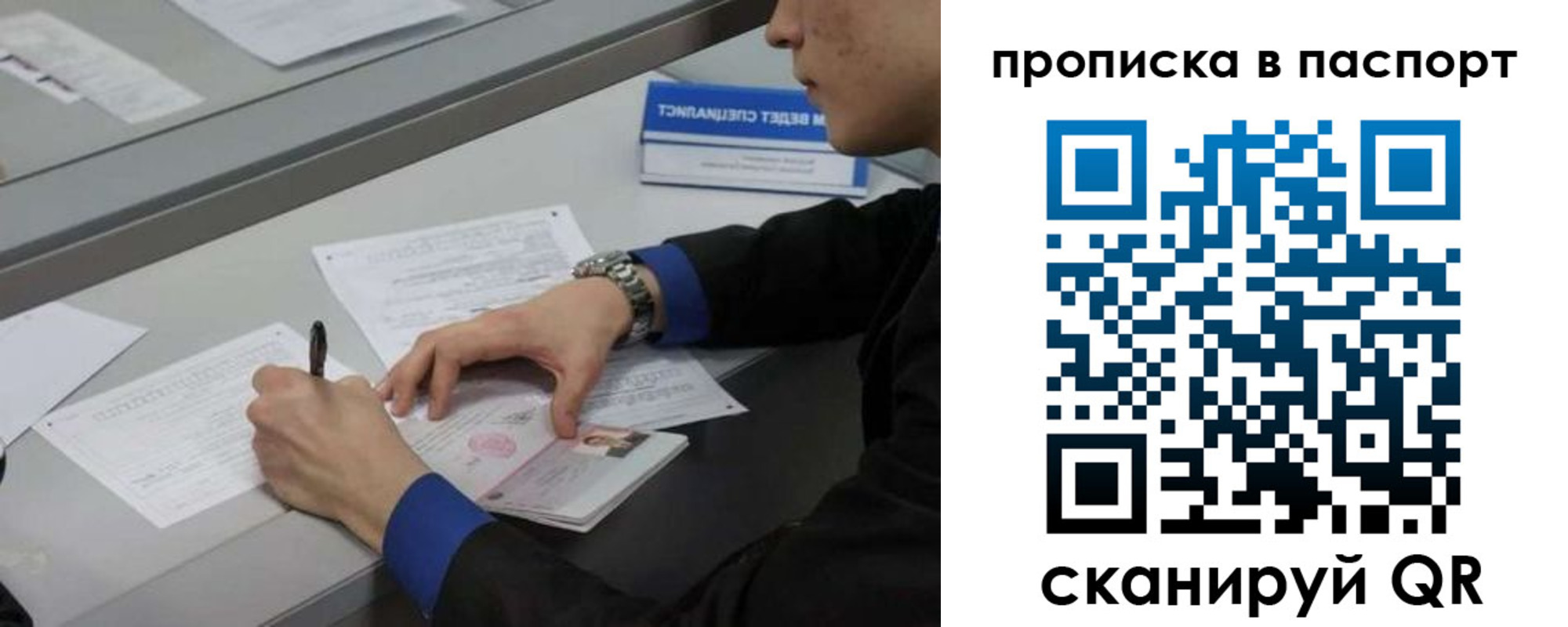 прописка для школы в Светлограде